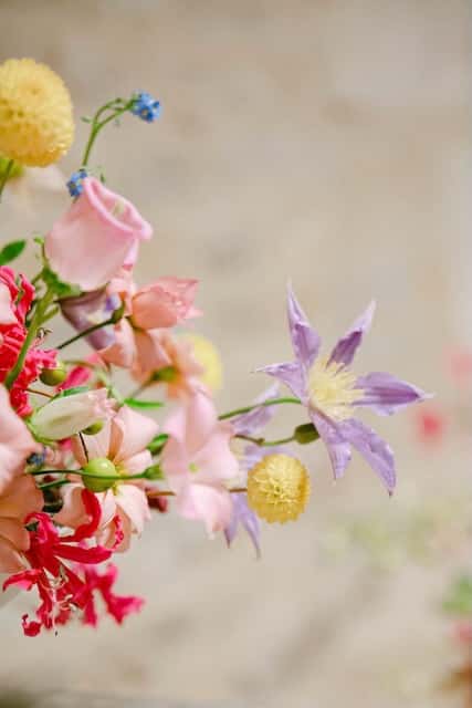 Détails des fleurs