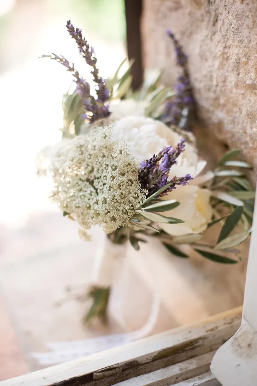 Cigales & Provence