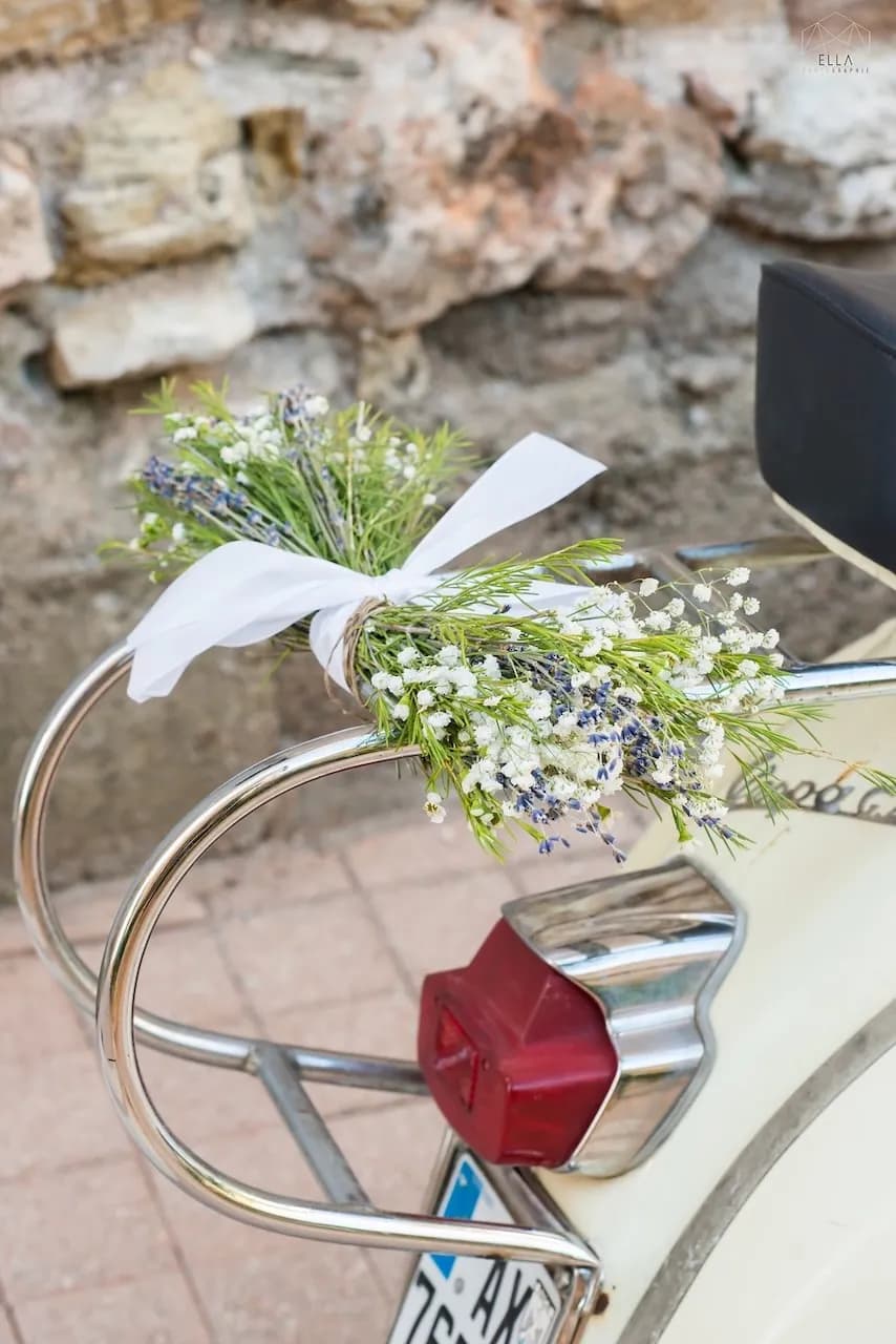 Cicadas & Provence - 5
