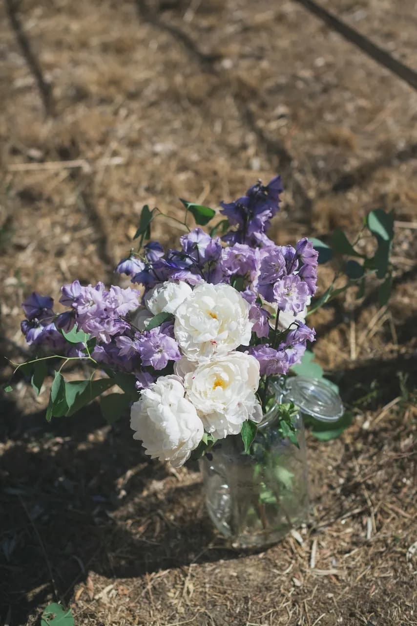 Cicadas & Provence - 8